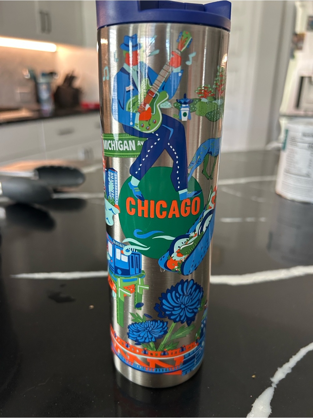 Chicago Illustrated Stainless Travel Tumbler - Blue & Green Starbucks